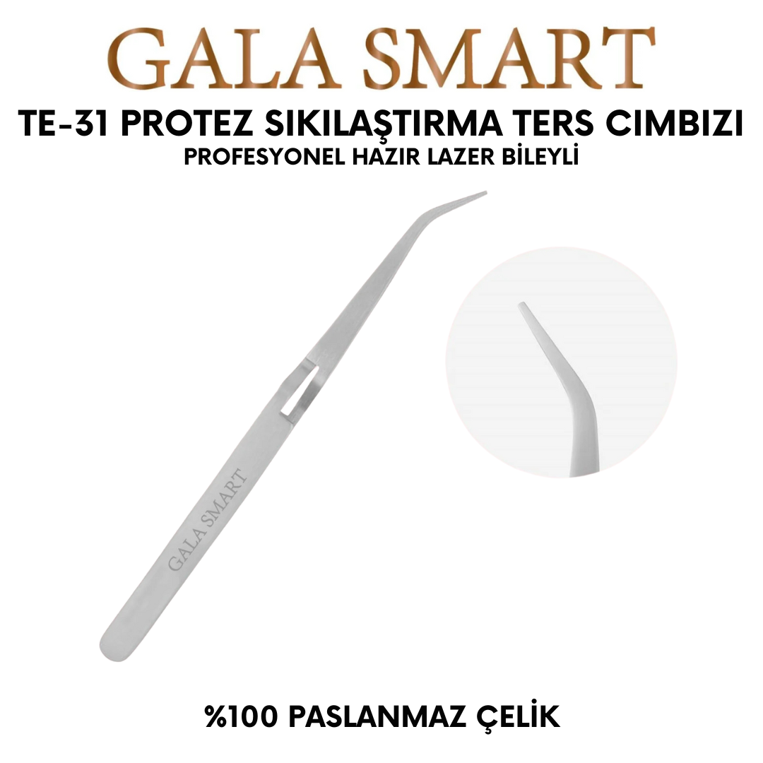 TE-31 Ters Cımbız resmi