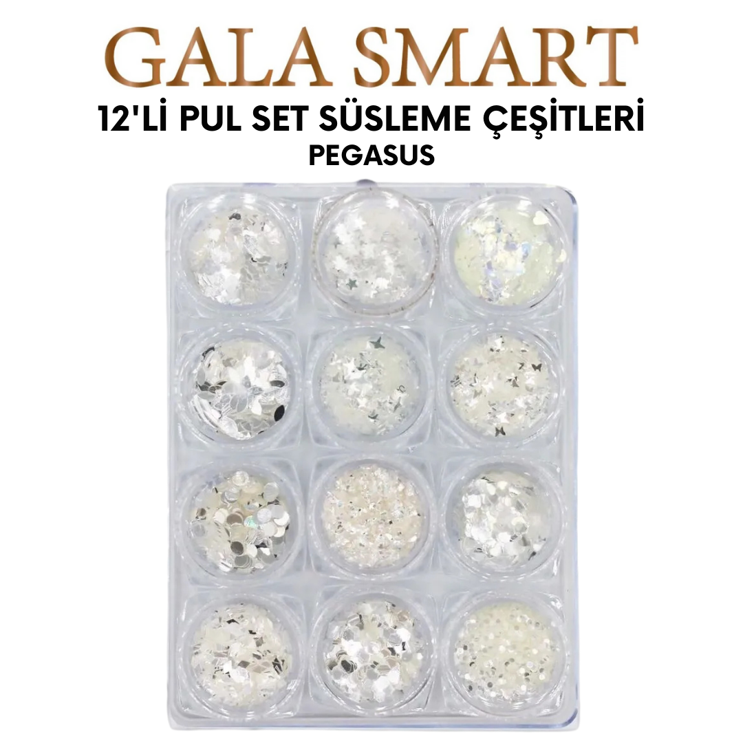 Pegasus 12'li Pul Set resmi
