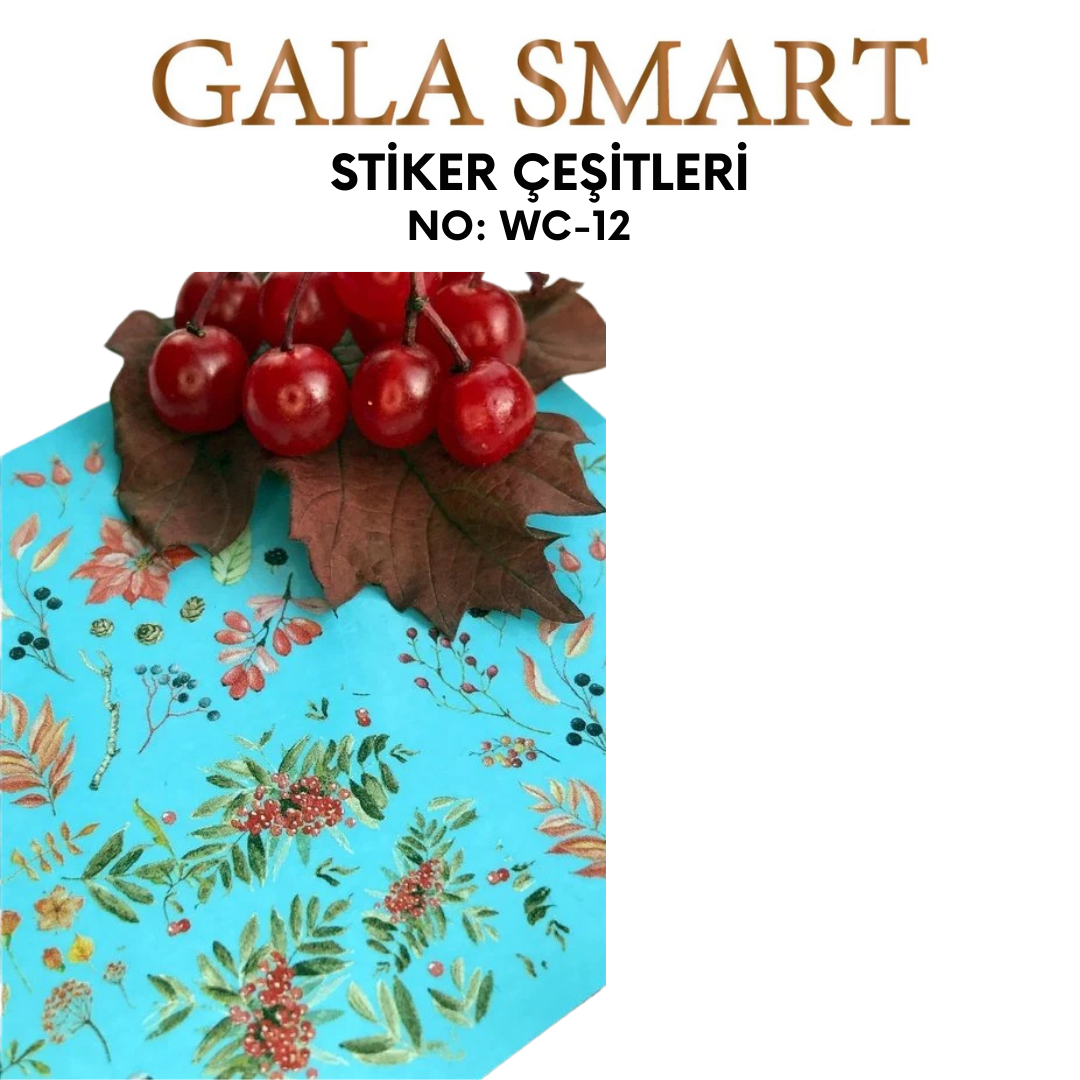 Stiker No: WC-12 resmi